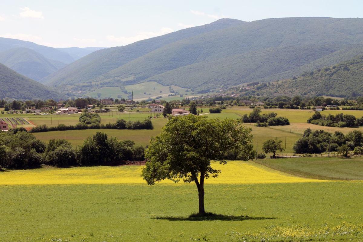 Agriturismo Il Casale Degli Amici نورسا المظهر الخارجي الصورة