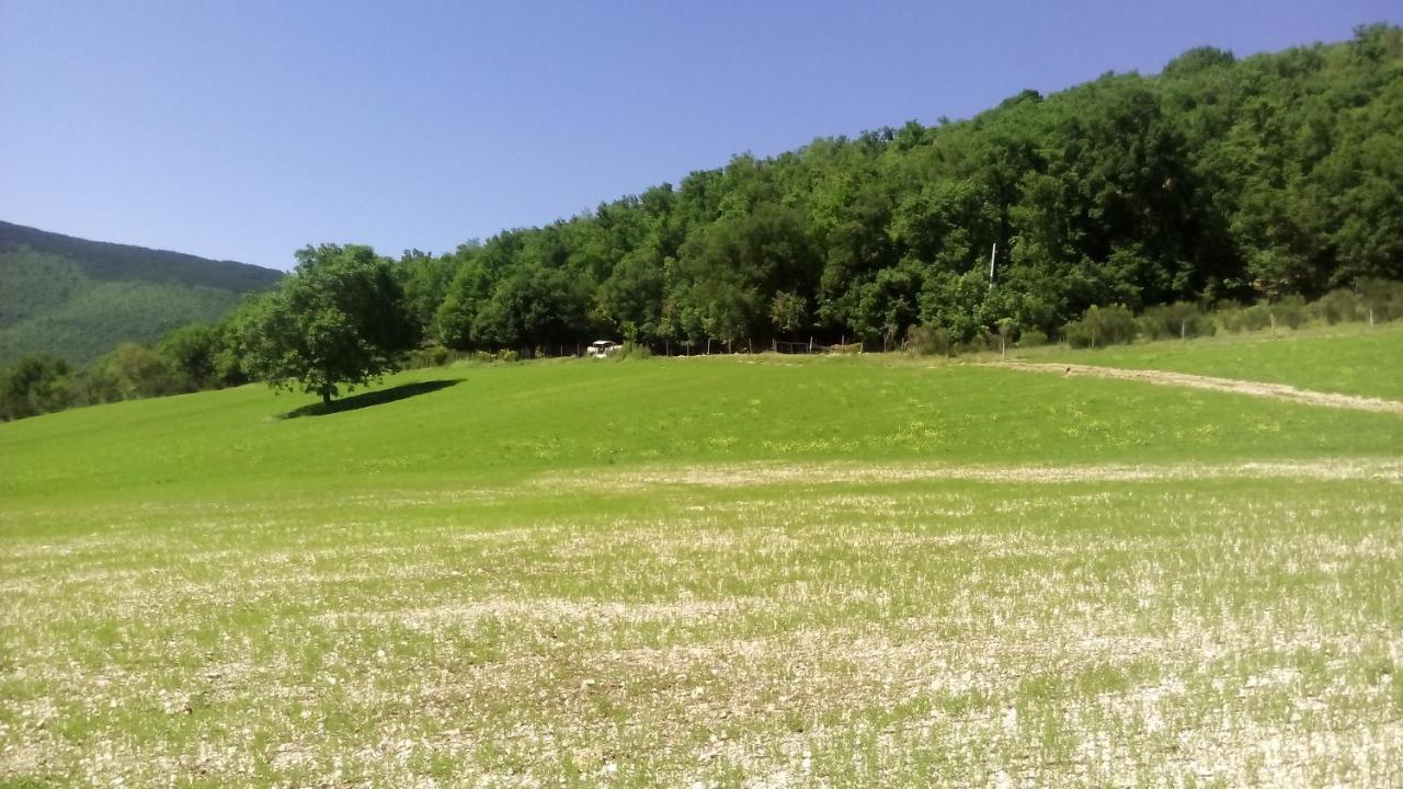 Agriturismo Il Casale Degli Amici نورسا المظهر الخارجي الصورة